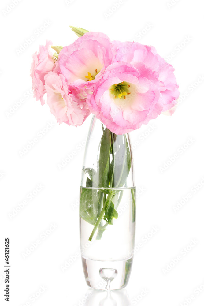 bouquet of eustoma flowers in vase, isolated on white bouquet of eustoma flowers in vase, isolated on white