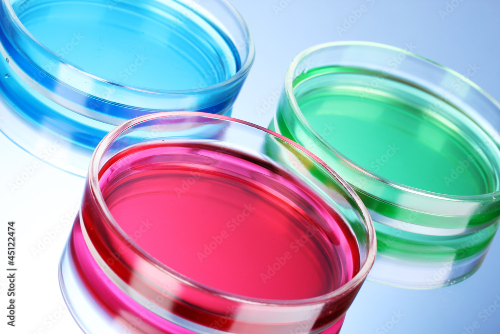 color liquid in petri dishes on blue background color liquid in petri dishes on blue background
