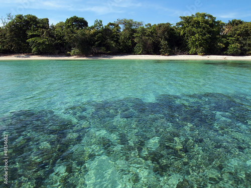 Fototapeta Naklejka Na Ścianę i Meble -  Untouched tropical beach with clear water, Caribbean sea, Zapatilla islands, Bocas del Toro, Panama