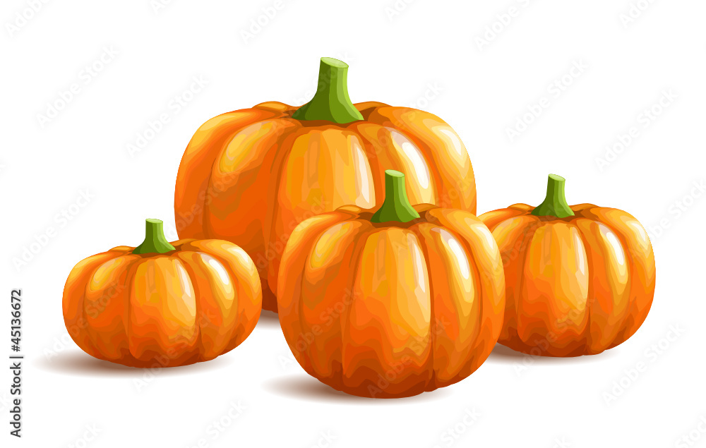 Bunch of pumpkins on white background Bunch of pumpkins on white background