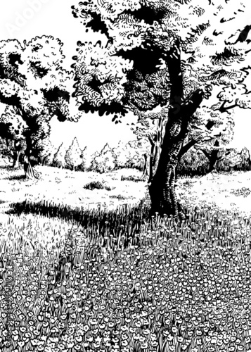 Spring (B&W)