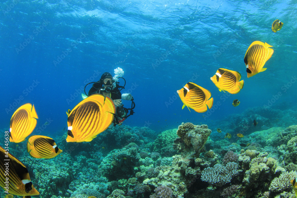 Fototapeta premium Female Scuba Divers swim through tropical fish on ocean reef