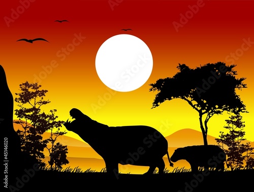 beauty hippo silhouettes with landscape background