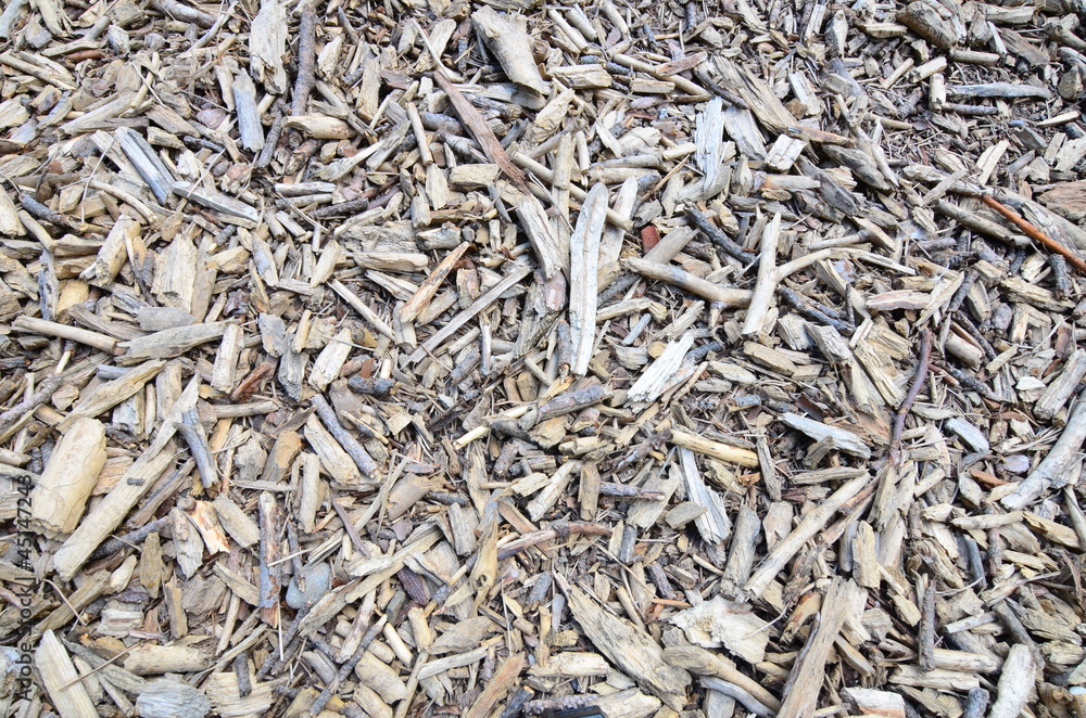 Wood chips (pieces) on ground Wood chips (pieces) on ground