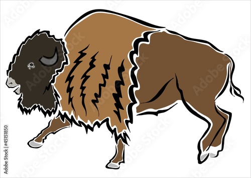 bisonte americano
