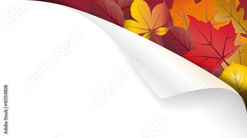 Papierecke mit Herbstlaub