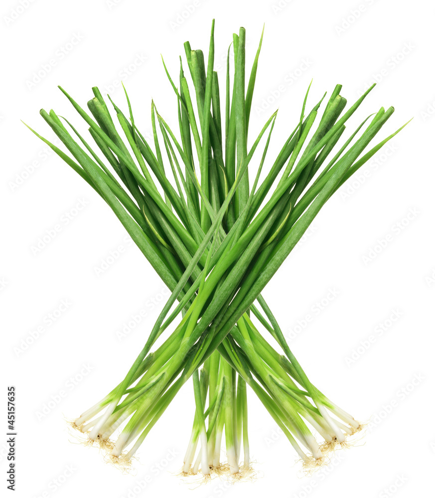 Spring Onions Spring Onions