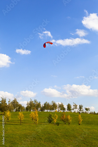 Flight kite against the blue sky in the park © Yuli