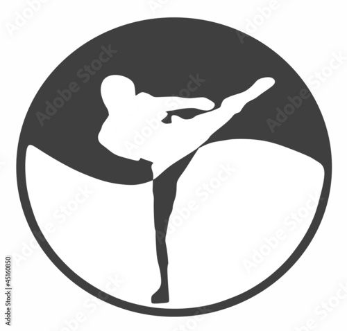 martial art - high kick