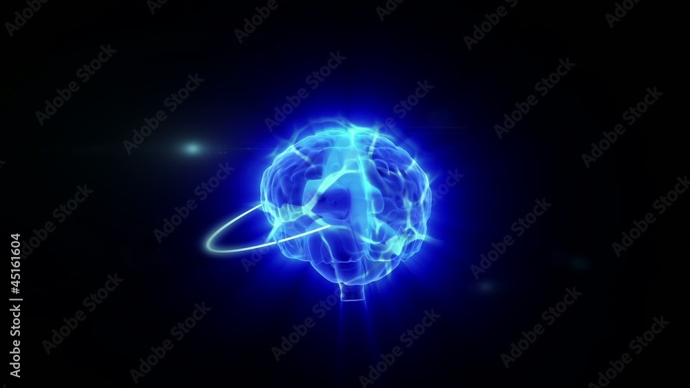 Human brain activity, animation loop Human brain activity, animation loop