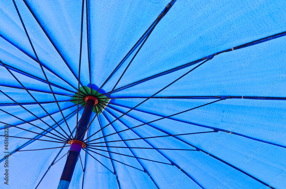 Fototapeta premium Umbrella