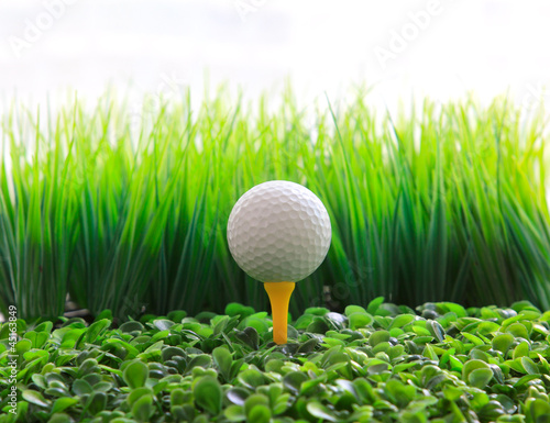 Fotografie golf ball  on tee and green grass field
