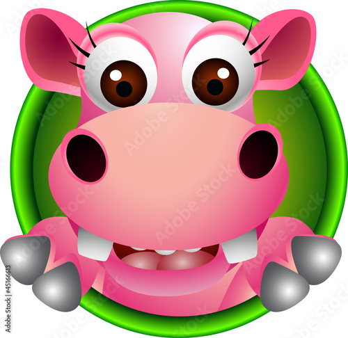 cute baby  hippo head cartoon