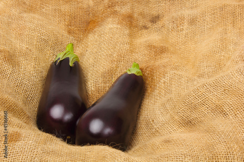 two aubergine photo