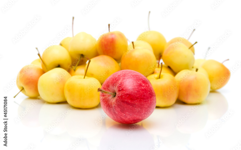 apples on a white background with reflection apples on a white background with reflection