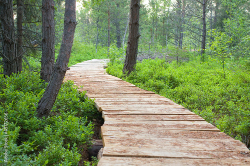 Wooden foot bridge © dziewul