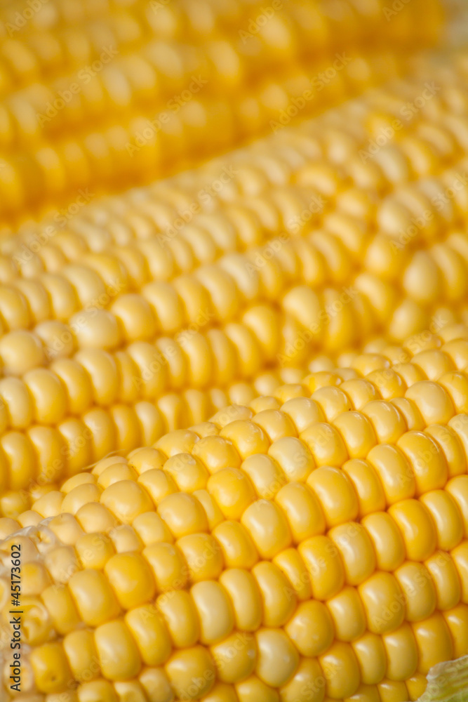 Corn Corn