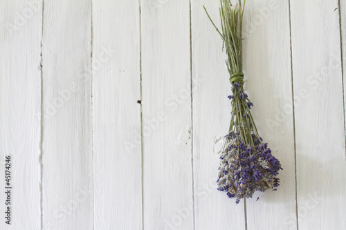 Fototapeta Naklejka Na Ścianę i Meble -  lavendel