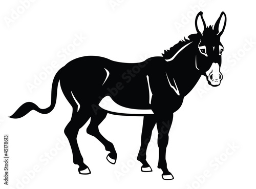 standing donkey black and white image