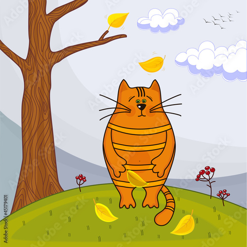 осенний кот