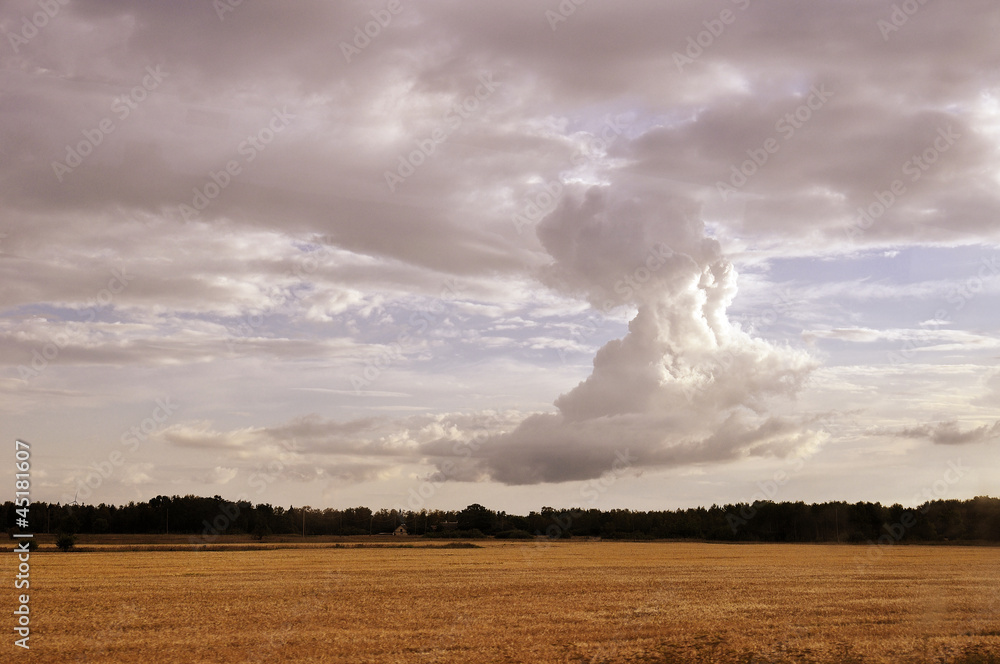 Fototapeta premium Dramatic sky over field