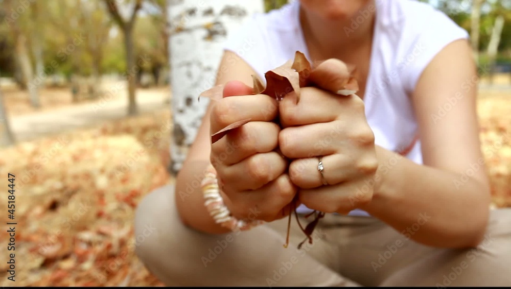 Woman's hands collecting autumn brown dry leaves Woman's hands collecting autumn brown dry leaves