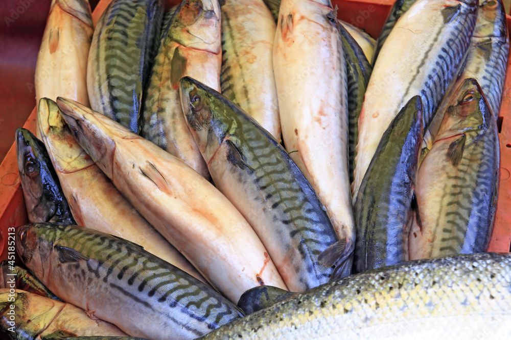 Fototapeta premium big fish on rural market
