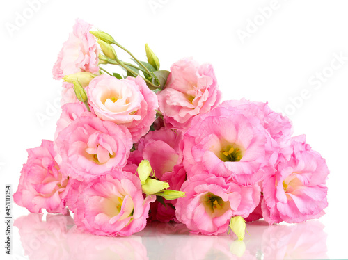 bouquet of eustoma flowers  isolated on white