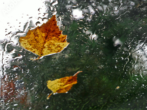 Autumn rain