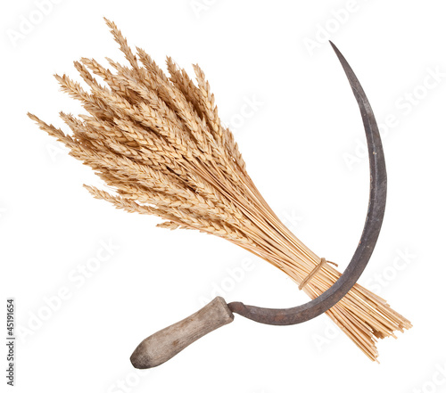 Sheaf of wheat and sickle photo