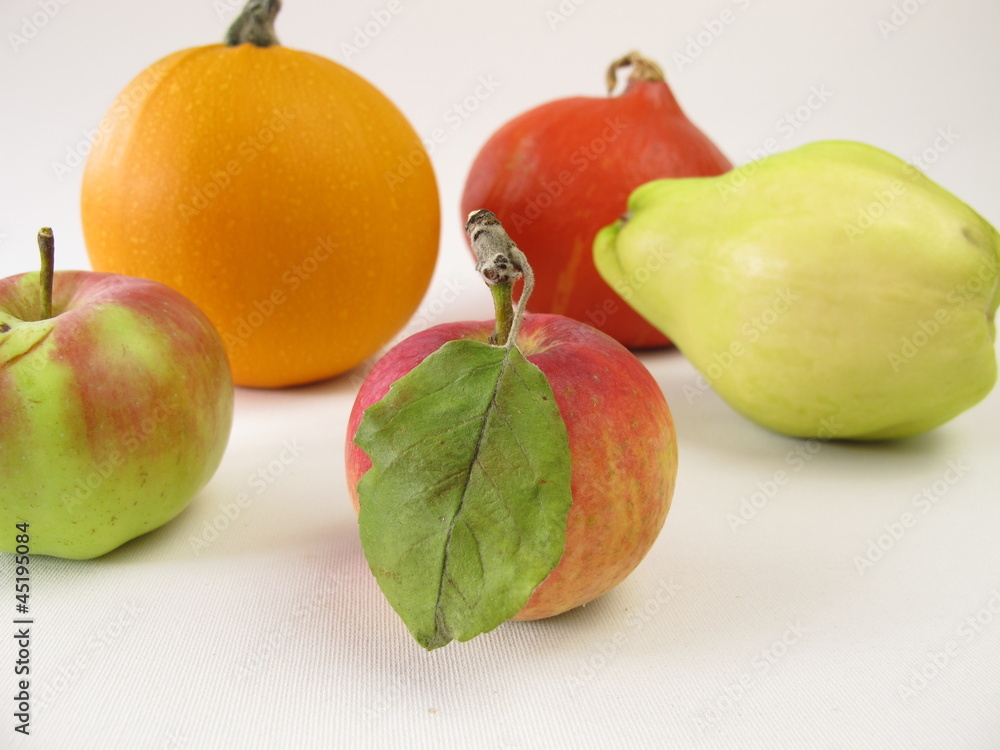 Quitte, Apfel und Kürbis Quitte, Apfel und Kürbis