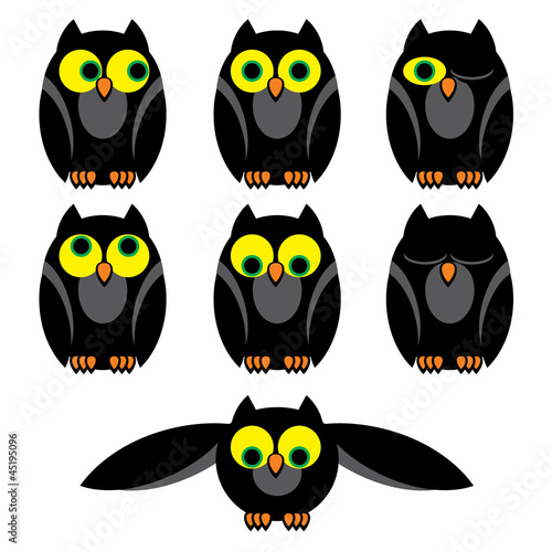 owls set