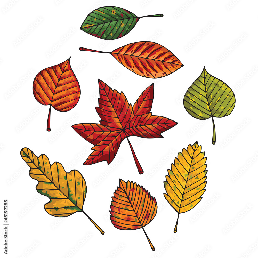 Obraz premium Autumn leafs set