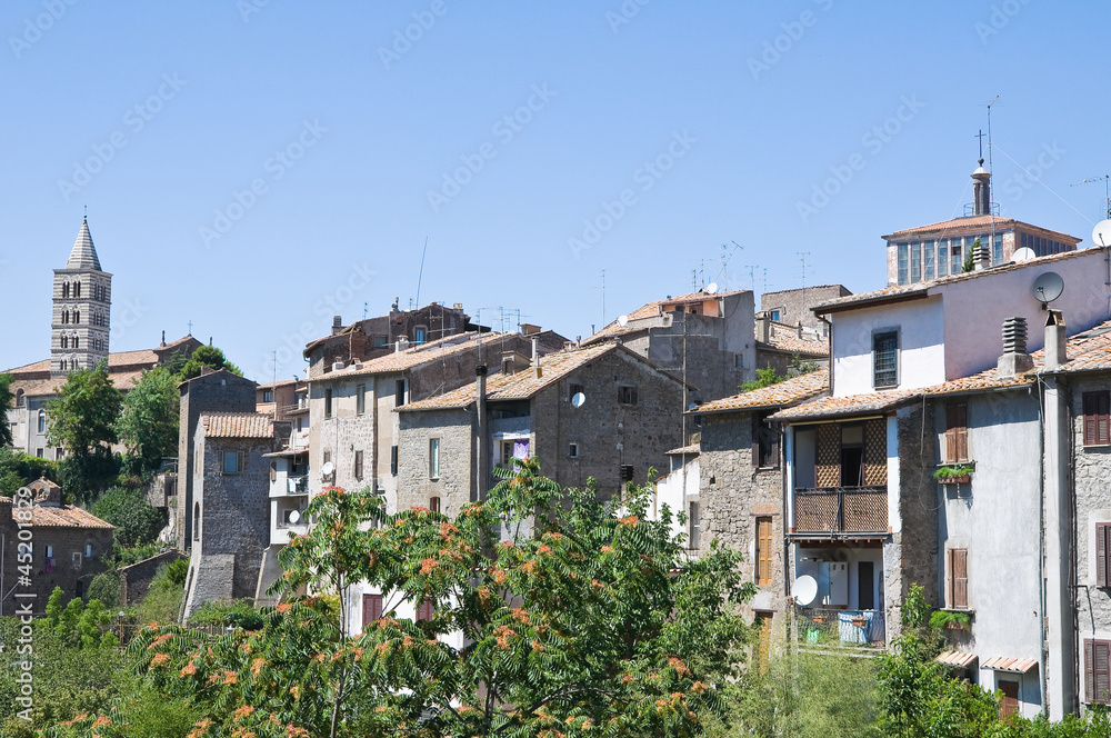Panoramic view of Viterbo. Lazio. Italy.