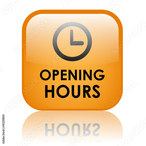 OPENING HOURS Web Button (business contact about information)