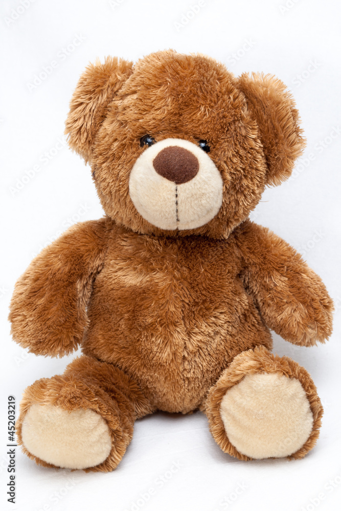 Obraz premium Teddy