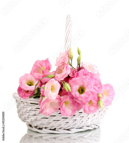 bouquet of eustoma flowers in basket, isolated on white