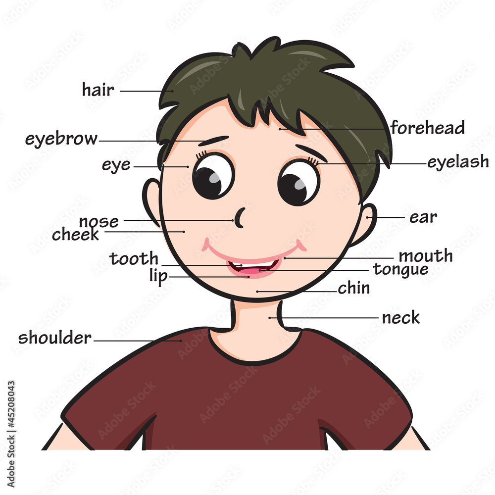 Cartoon Child Boy Vocabulary Of Face Parts Stock Vector Adobe Stock
