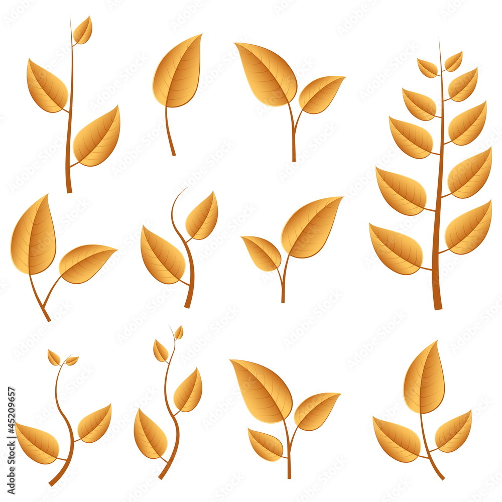 autumn leafs set autumn leafs set
