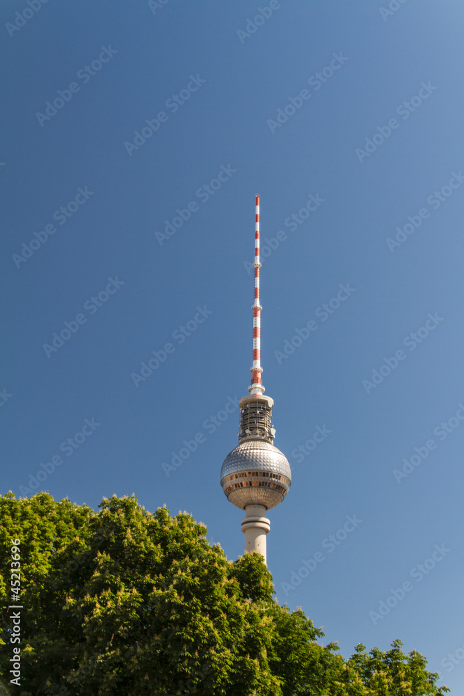 Fototapeta premium television tower in berlin mitte