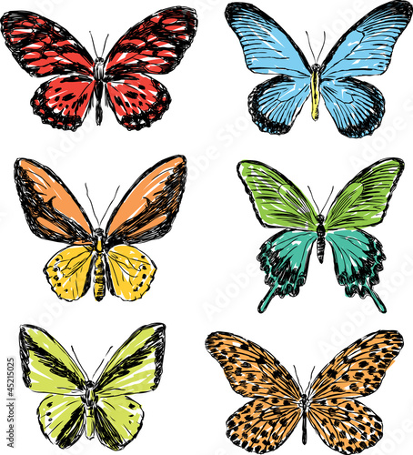 drawn butterflies © makar