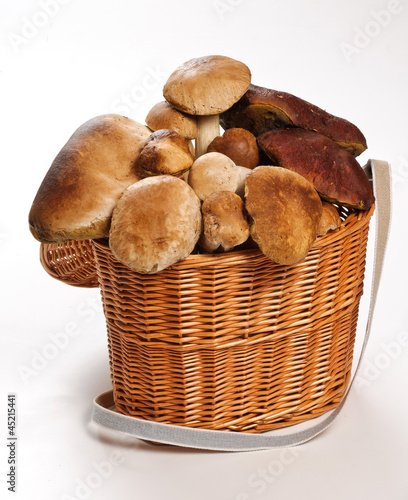 Funghi porcini nel cesto - Porcini mushrooms in the basket