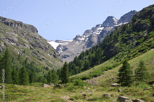 Valsavaranche, fondo valle photo