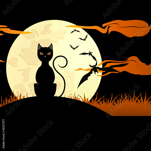 black cat in the moon shine