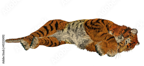 Tiger sleeping © Elenarts