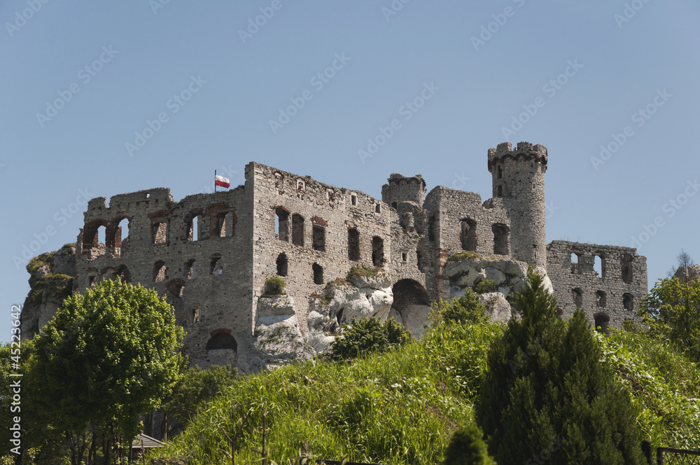 Ruins of old medieval castle