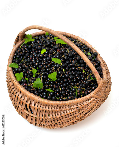 basket with black currant