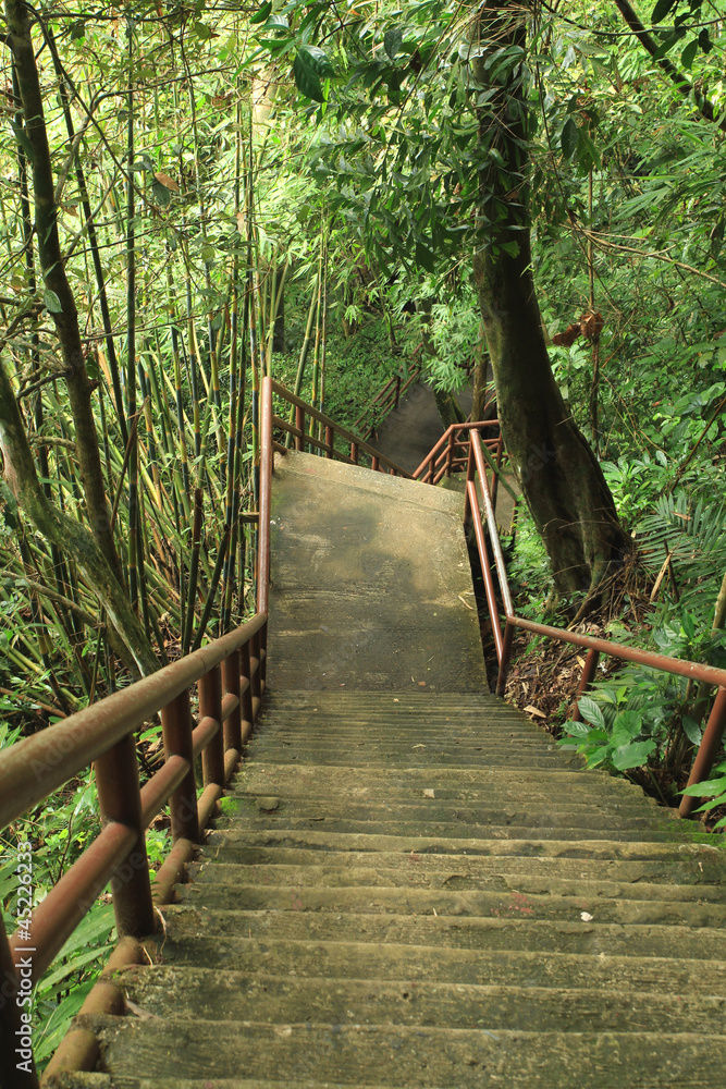 Obraz premium Stone ladder in national park, Khao Yai,Thailand