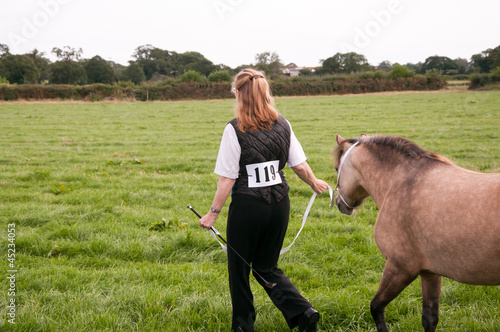 Pony competition