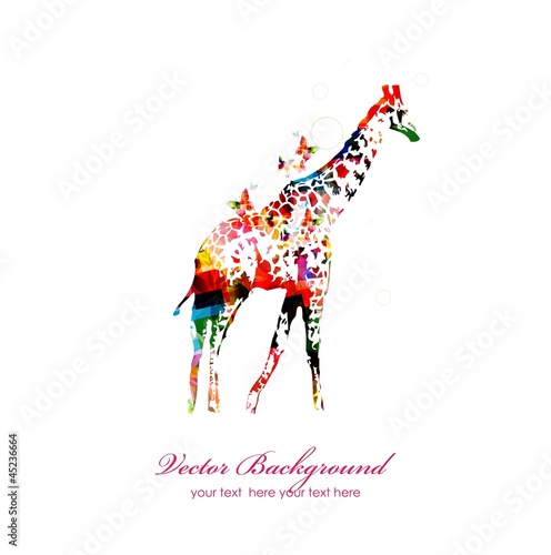 giraffe background